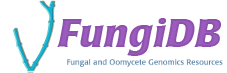 FungiDB Logo