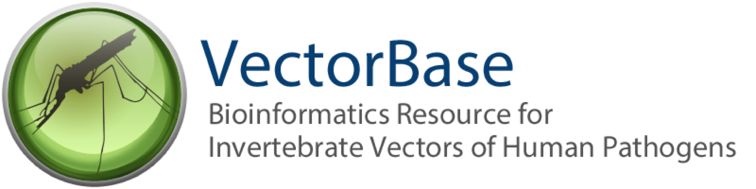 Vectorbase Logo